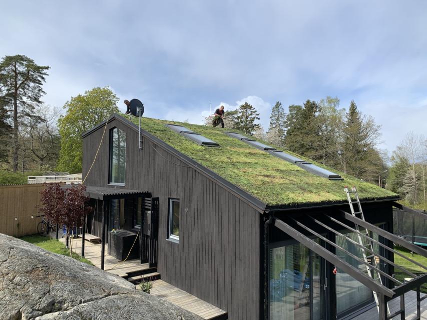 Sedumtak, inspiration, villa, saltsjö-boo