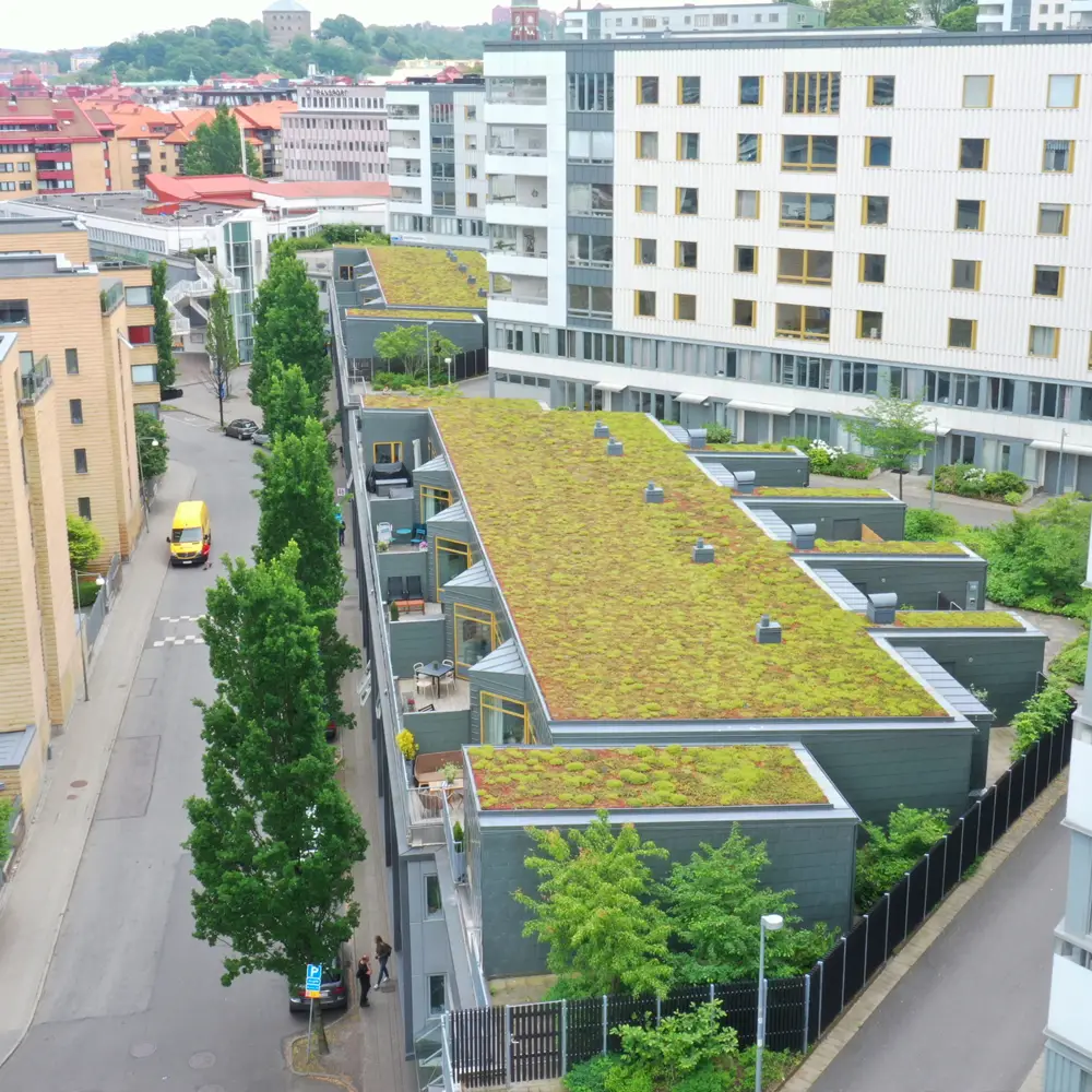 Masthugget Göteborg Sedumtak Inspiration