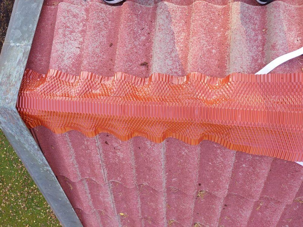 nocktatning-scaled-e1703759655763-1024x768