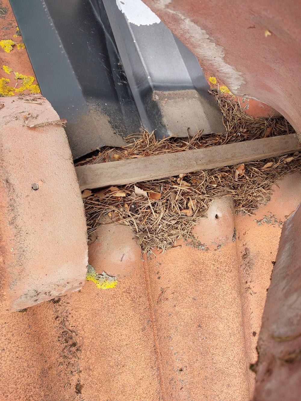 Tak som saknar nocktätning och där mycket skräp ansamlats